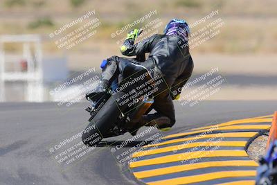 media/Oct-08-2022-SoCal Trackdays (Sat) [[1fc3beec89]]/Turn 11 Backside (1145am)/